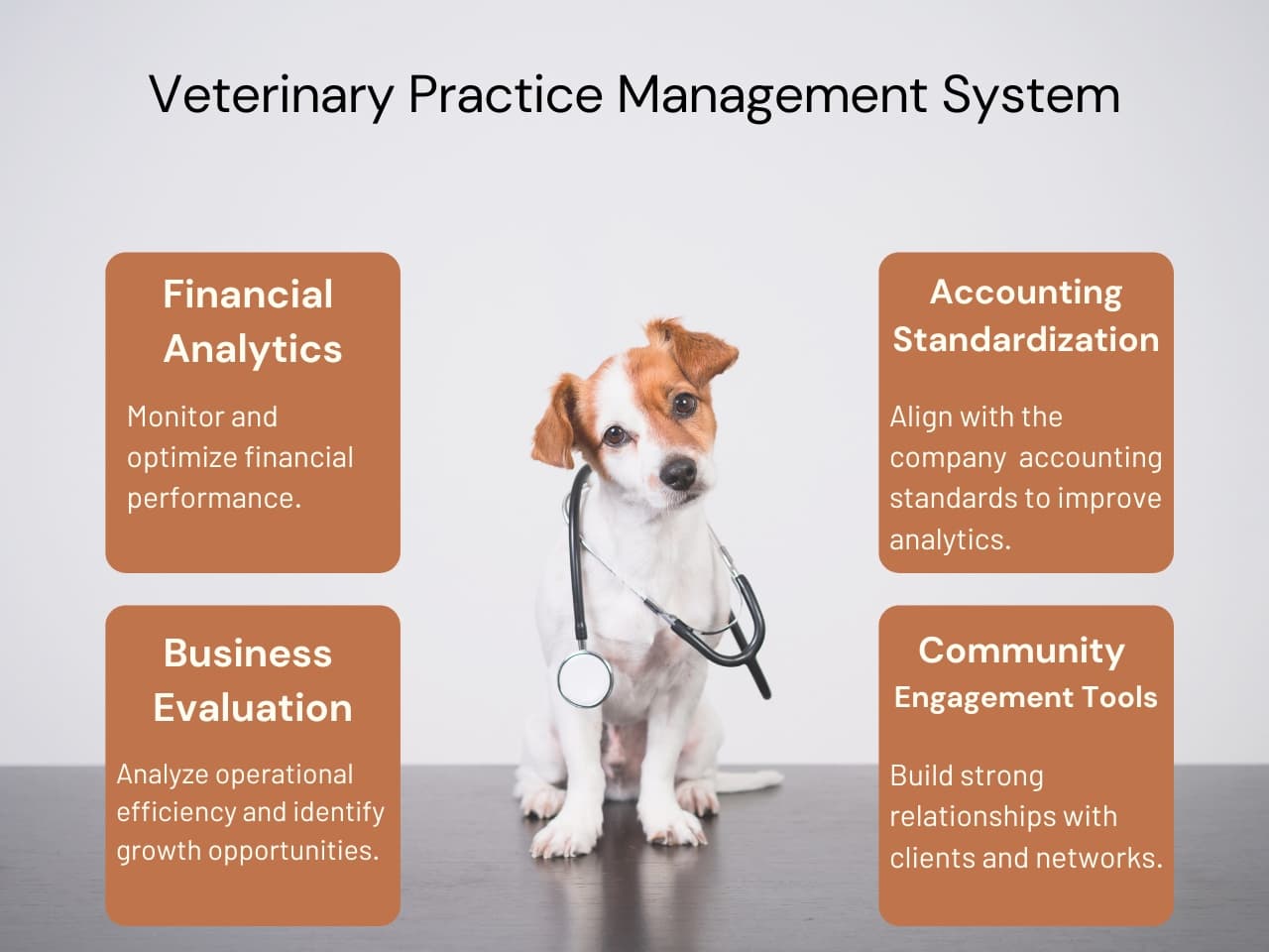 Veterinary Practice Management System